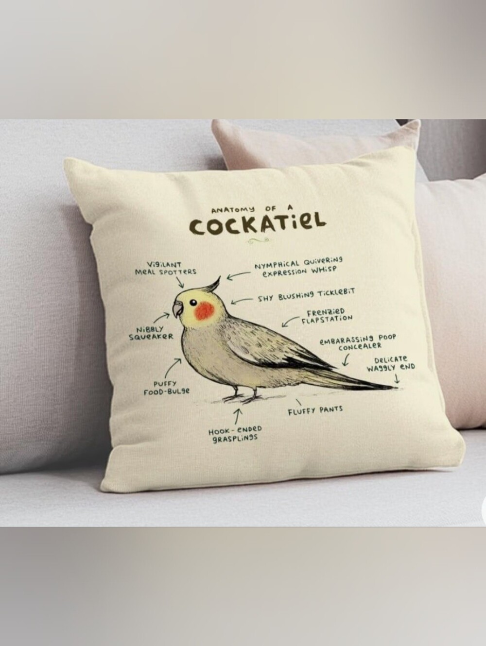 Cockatiel pillow cover, 18inches by 18 inches. New Anatomy of a cockatiel pillow